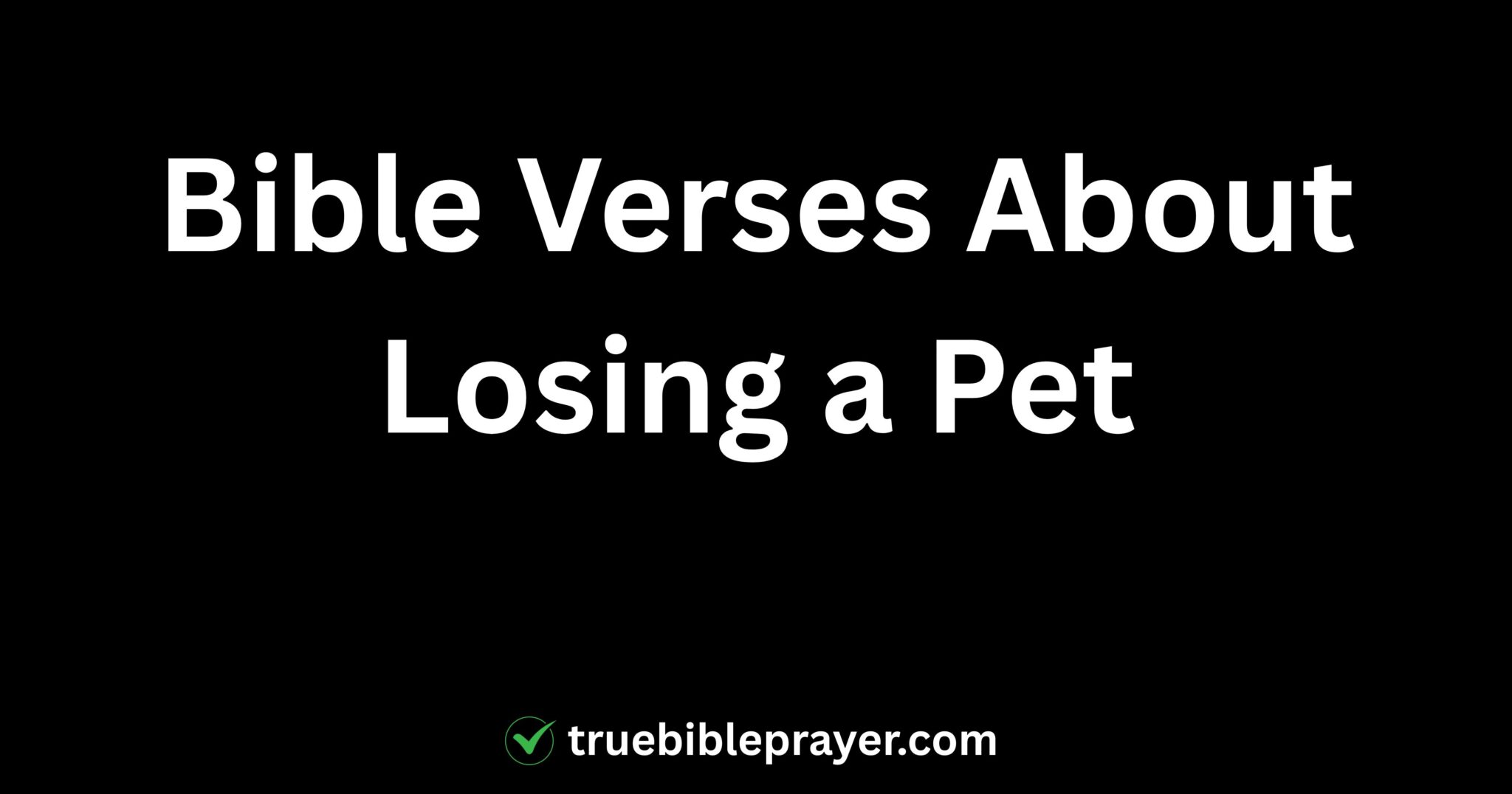 Bible Verses About Losing a Pet