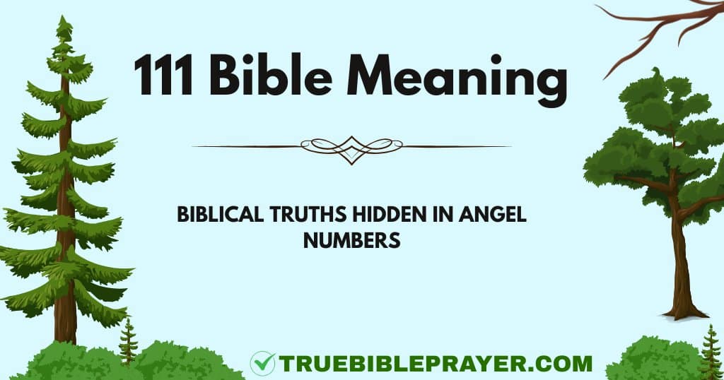 111 Bible Meaning