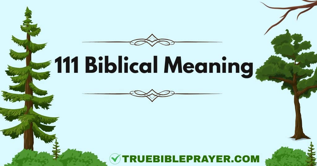 111 Biblical Meaning