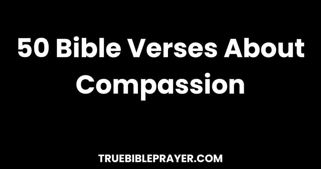 Bible Verses About Compassion