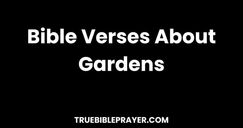 Bible Verses About Gardens