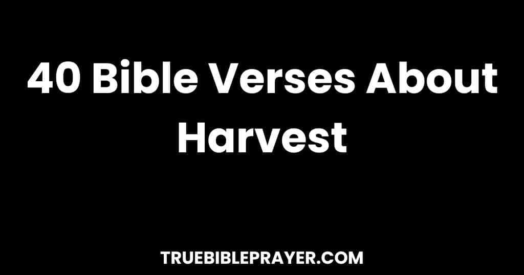 Bible Verses About Harvest