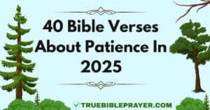Bible Verses About Patience