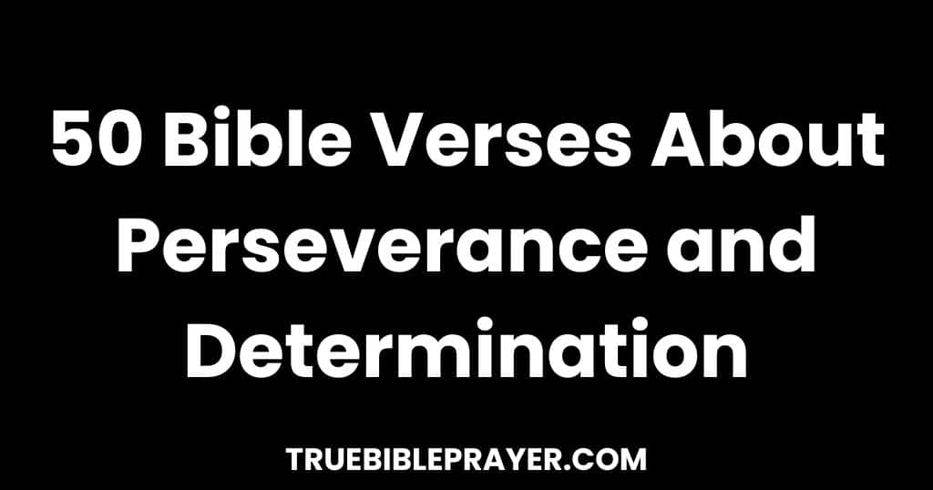 Bible Verses About Perseverance and Determination