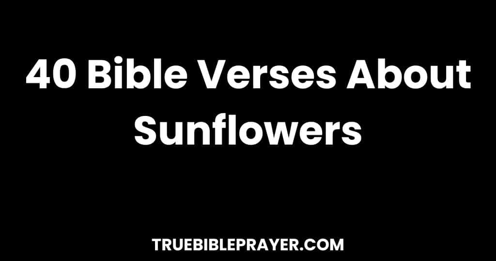 Bible Verses About Sunflowers