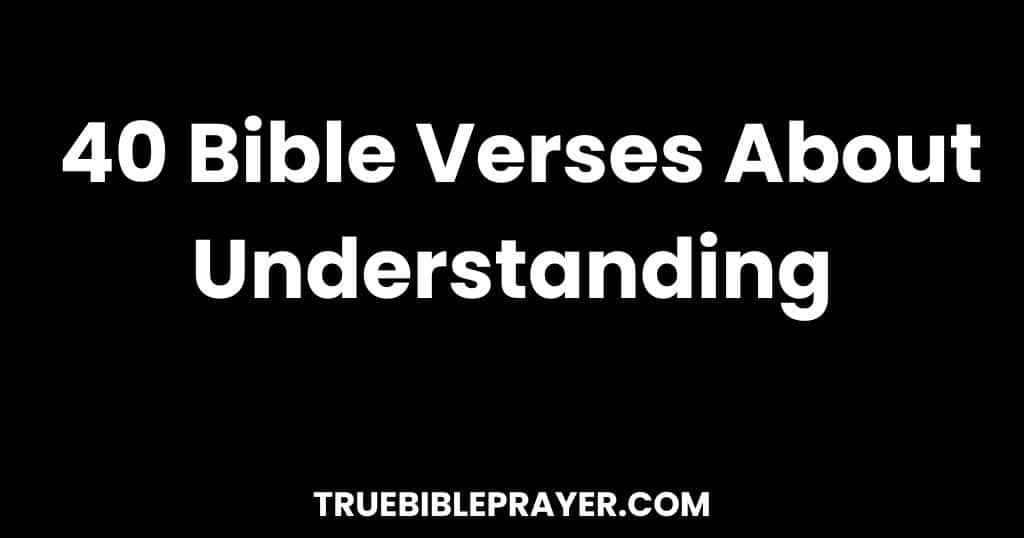 Bible Verses About Understanding