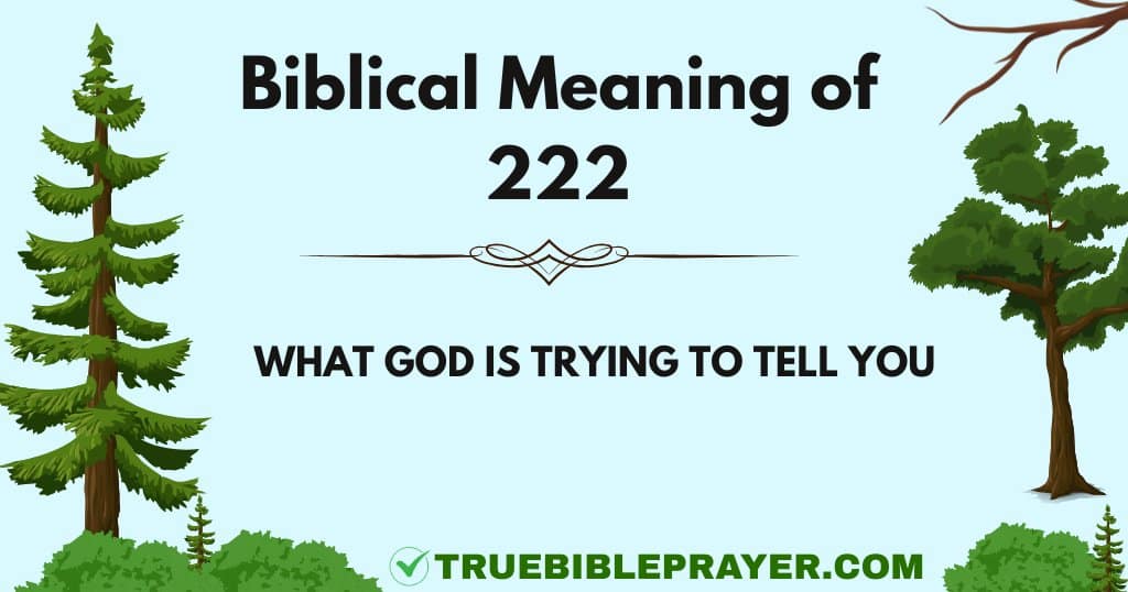 Biblical Meaning of 222