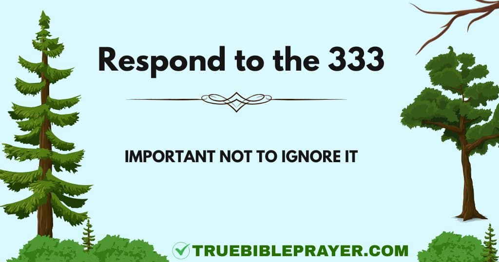 Respond to the 333