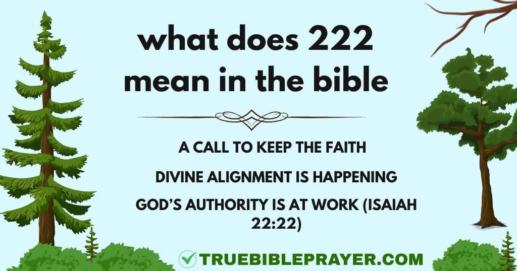what does 222 mean in the bible